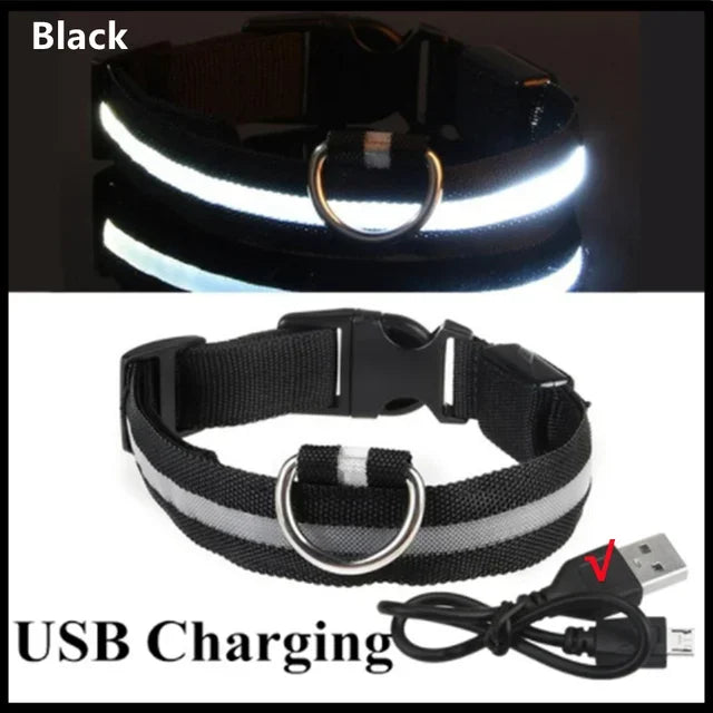 LED Glowing Dog Collar – Rechargeable & Adjustable Light-Up Collar for Night Walks