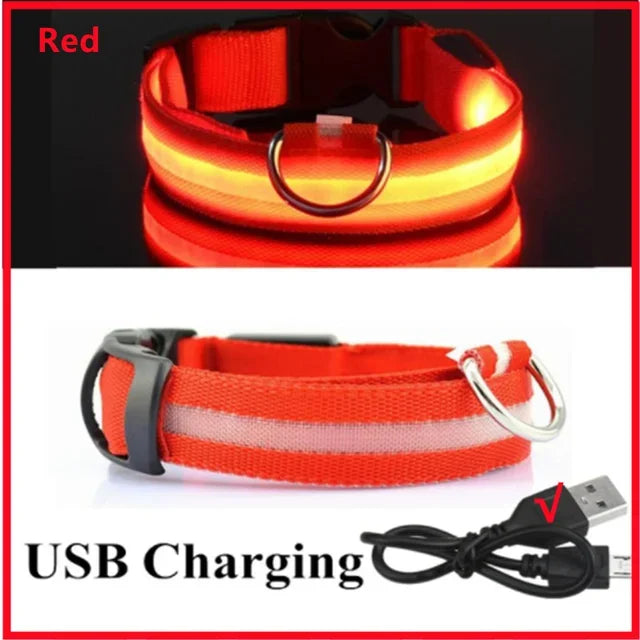 LED Glowing Dog Collar – Rechargeable & Adjustable Light-Up Collar for Night Walks