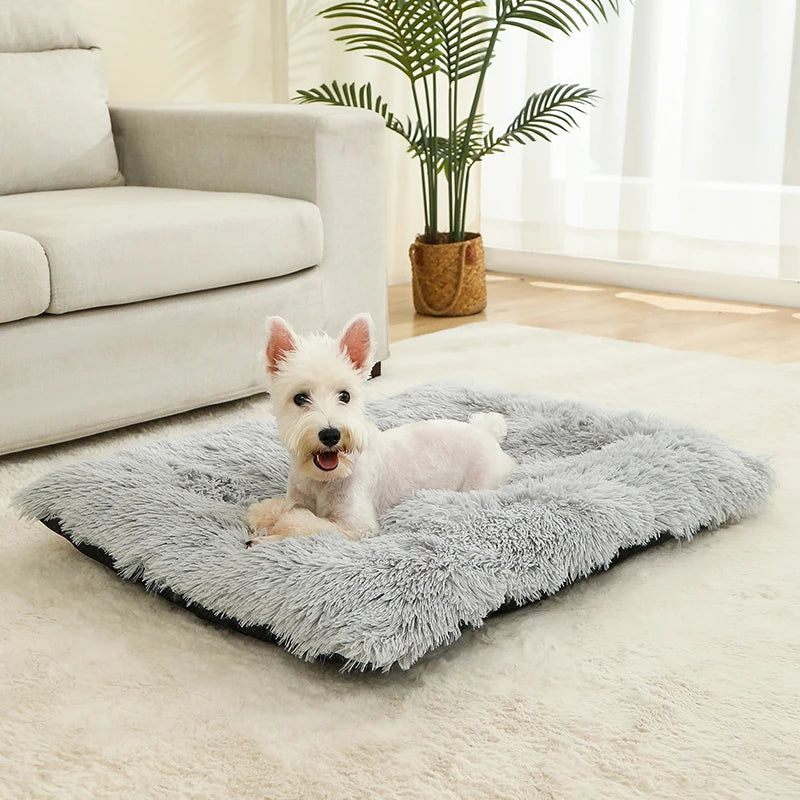 Soft Plush Dog Bed – Cozy Pet Cushion for Dogs & Cats