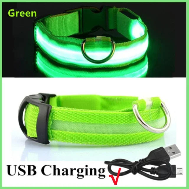 LED Glowing Dog Collar – Rechargeable & Adjustable Light-Up Collar for Night Walks