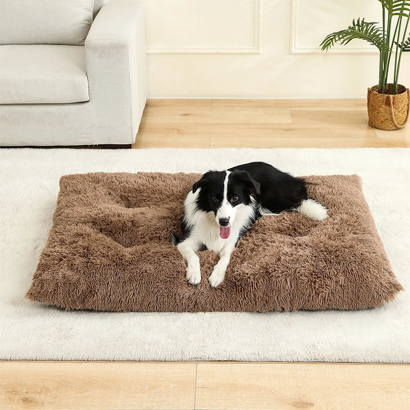 Soft Plush Dog Bed – Cozy Pet Cushion for Dogs & Cats