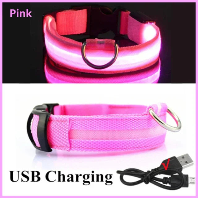 LED Glowing Dog Collar – Rechargeable & Adjustable Light-Up Collar for Night Walks