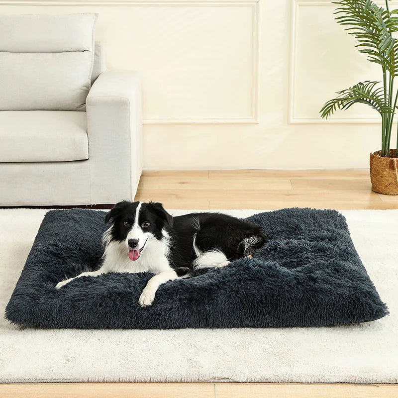 Soft Plush Dog Bed – Cozy Pet Cushion for Dogs & Cats