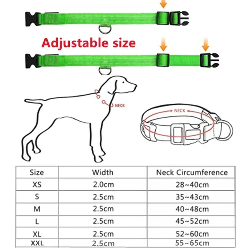 LED Glowing Dog Collar – Rechargeable & Adjustable Light-Up Collar for Night Walks