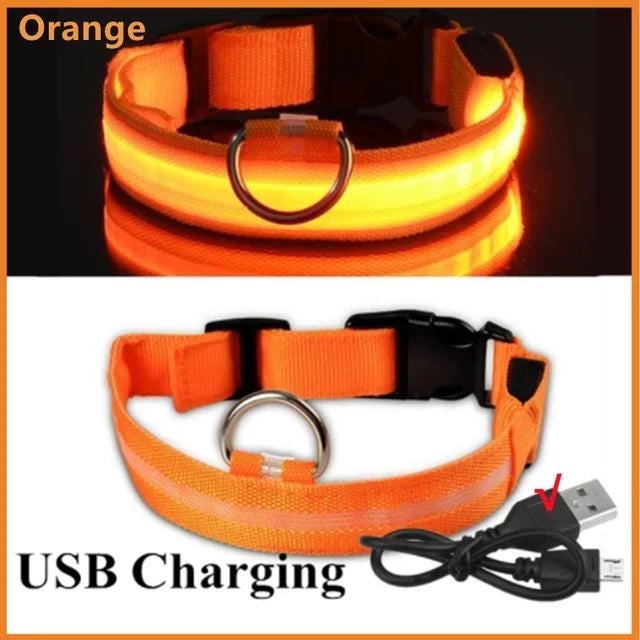 LED Glowing Dog Collar – Rechargeable & Adjustable Light-Up Collar for Night Walks