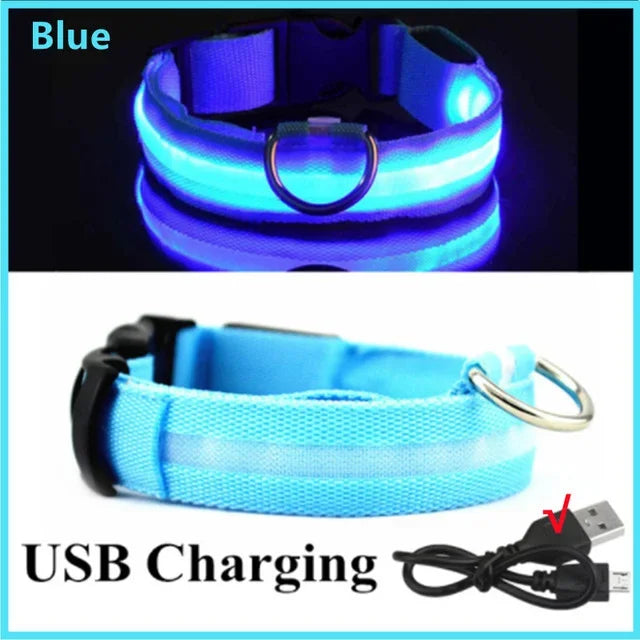 LED Glowing Dog Collar – Rechargeable & Adjustable Light-Up Collar for Night Walks