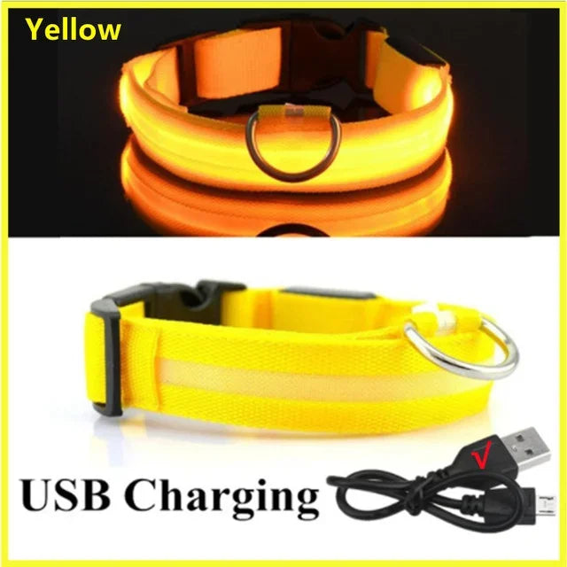 LED Glowing Dog Collar – Rechargeable & Adjustable Light-Up Collar for Night Walks