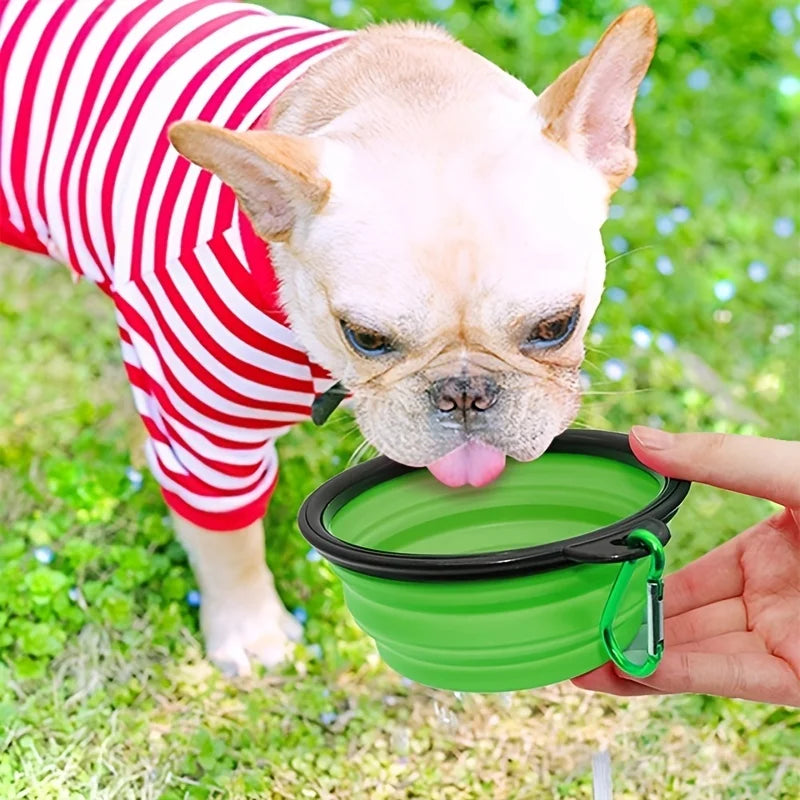 Foldable Pet Bowl – Compact Travel Dish for Food & Water