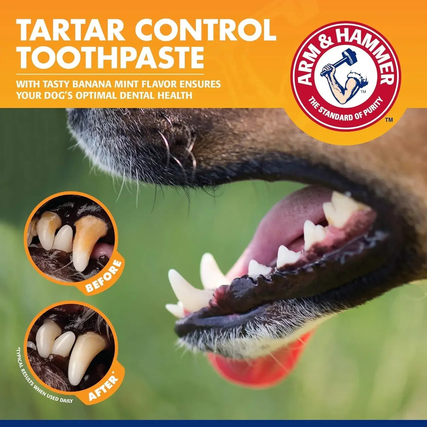 Pet Dental Care Kit – Toothbrush & Natural Toothpaste for Dogs & Puppies
