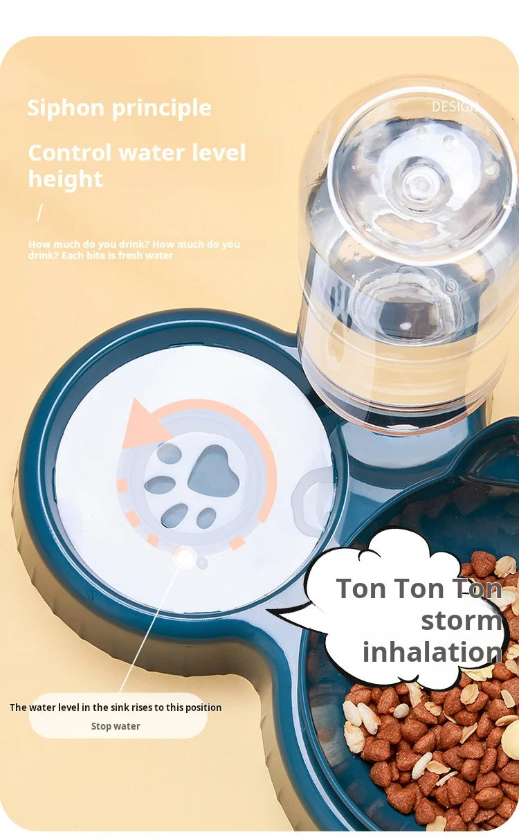 3-in-1 Tilted Cat Bowl with Automatic Water Feeder