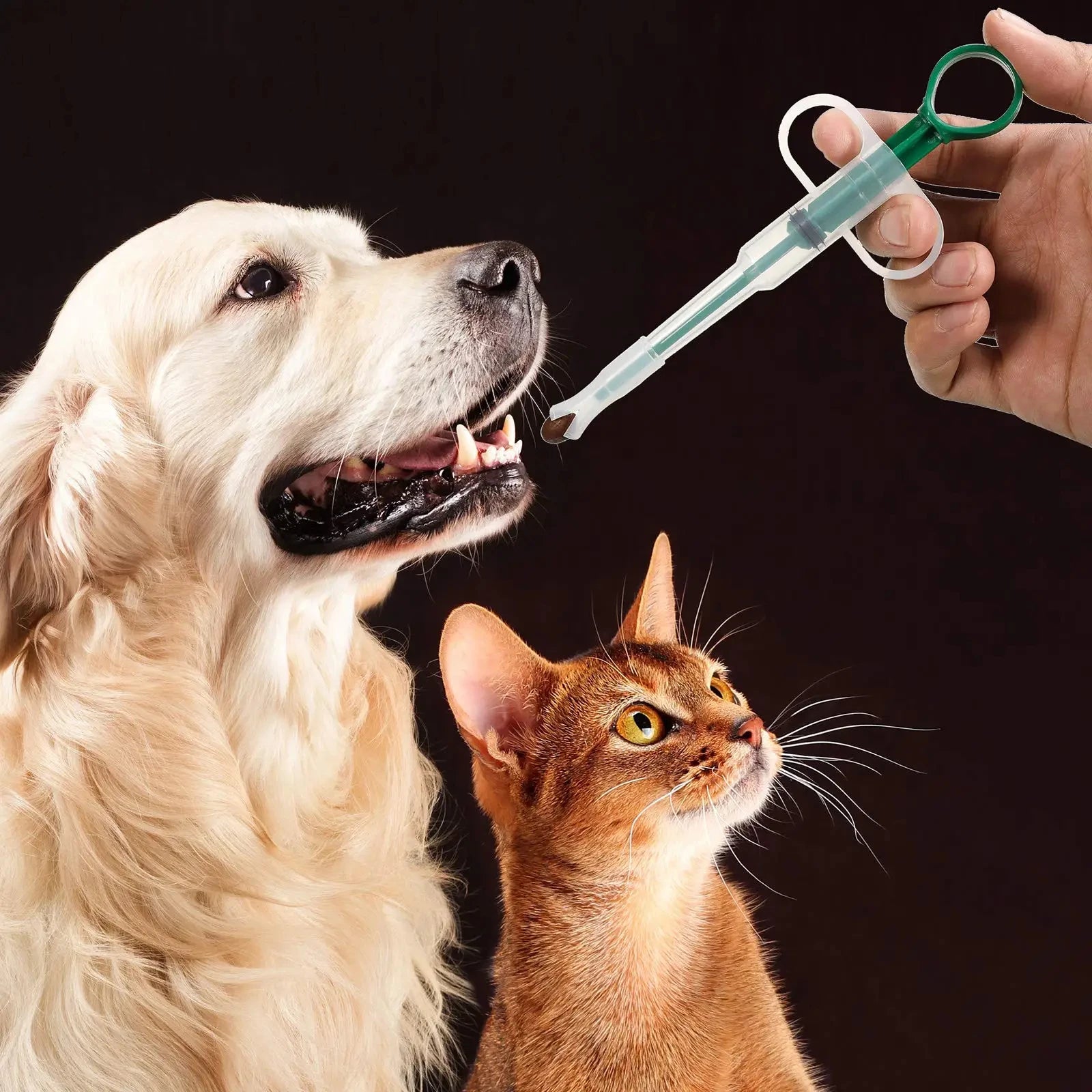 Pet Medication Dispenser – Pill & Capsule Feeder for Dogs & Cats