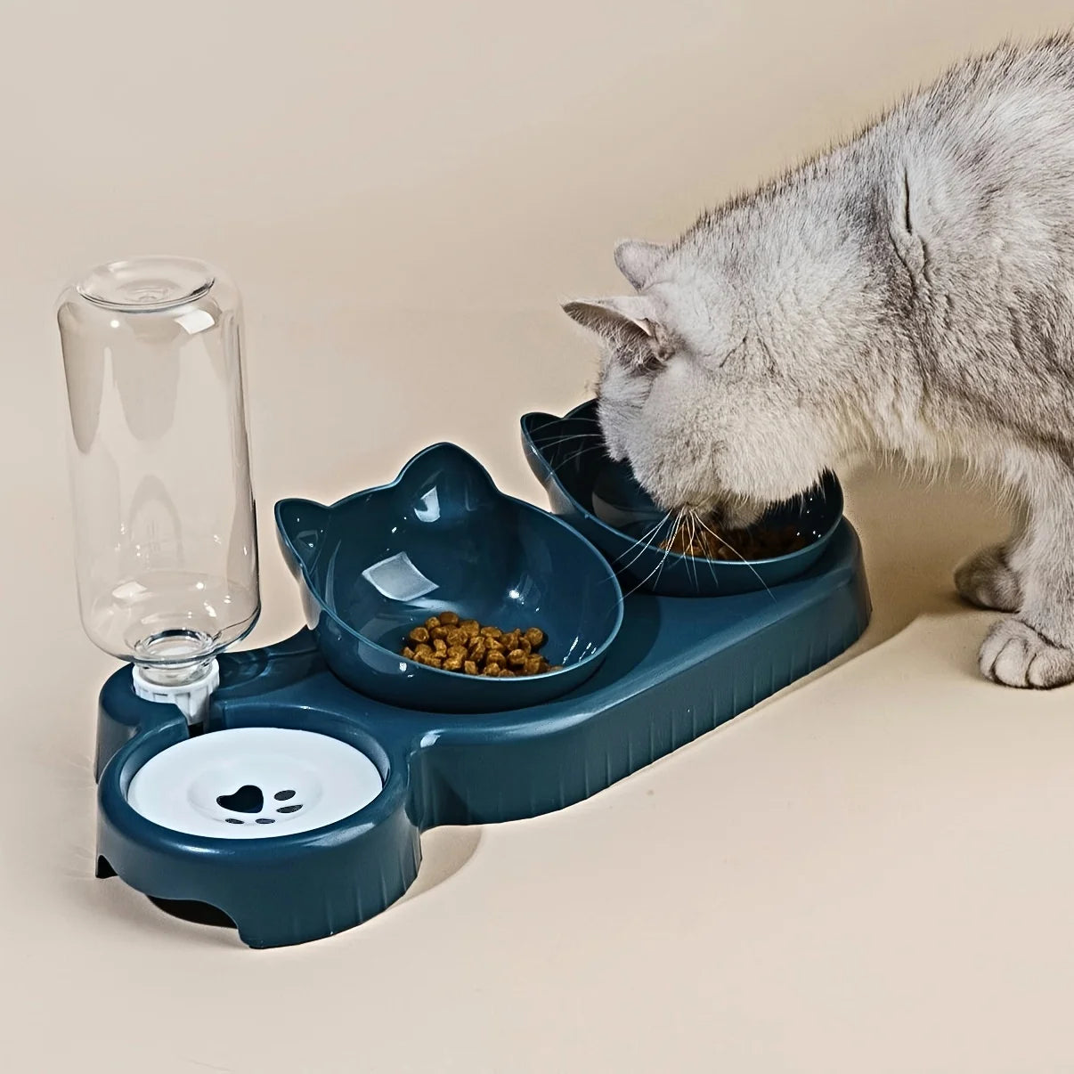 3-in-1 Tilted Cat Bowl with Automatic Water Feeder