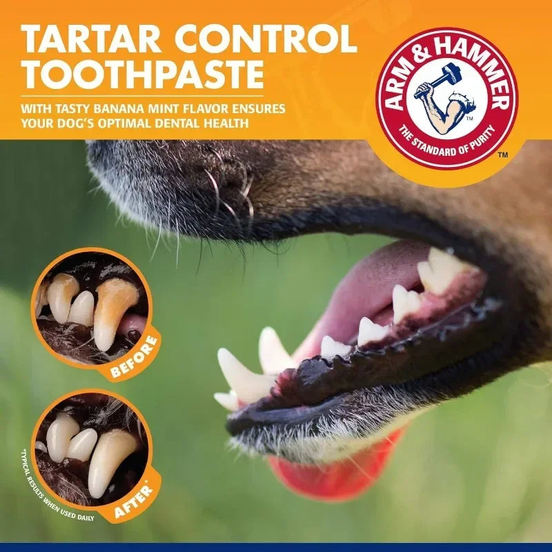 Pet Dental Care Kit – Toothbrush & Natural Toothpaste for Dogs & Puppies