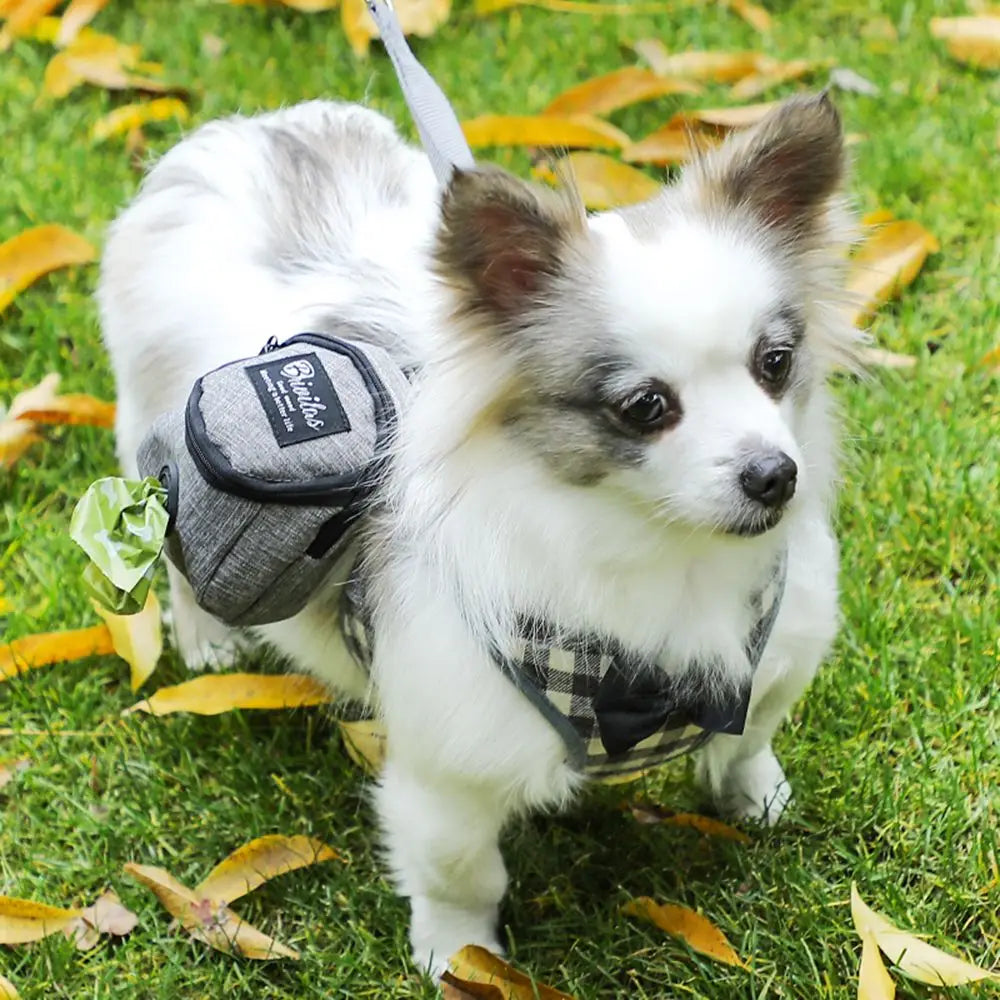 Portable Dog Treat & Waste Bag Pouch – Multifunction Training Bag for Small Dogs