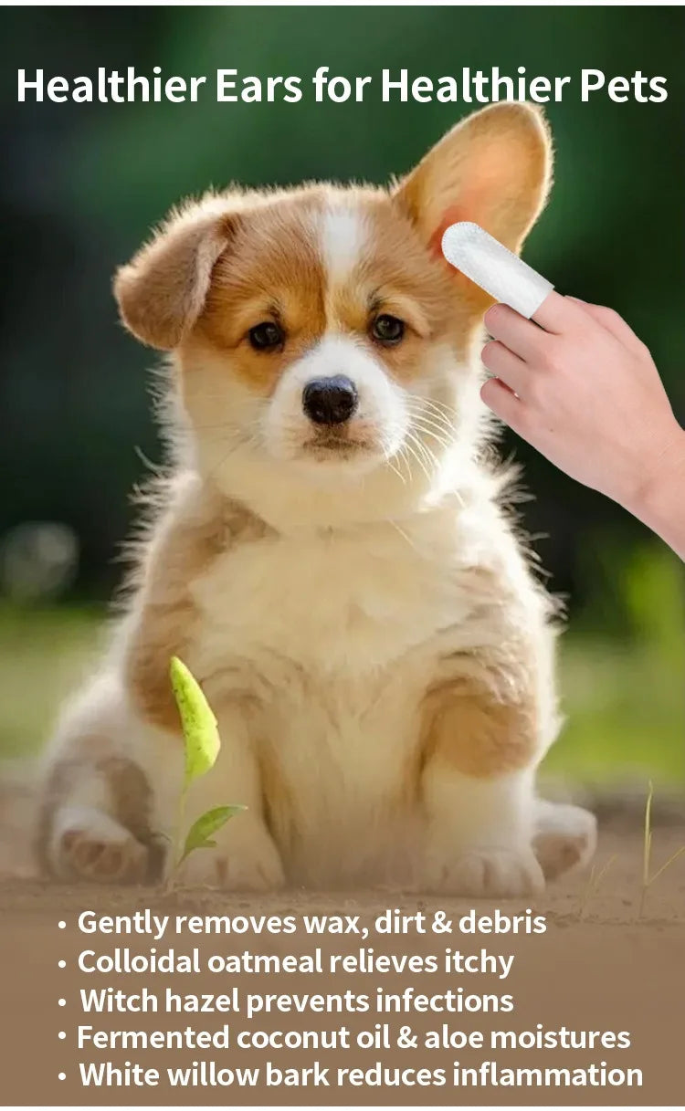 Pet Ear Cleaning Finger Wipes – Natural Ear Care for Dogs & Cats