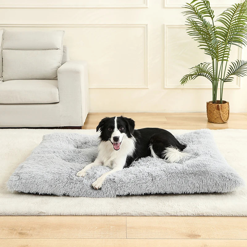 Soft Plush Dog Bed – Cozy Pet Cushion for Dogs & Cats