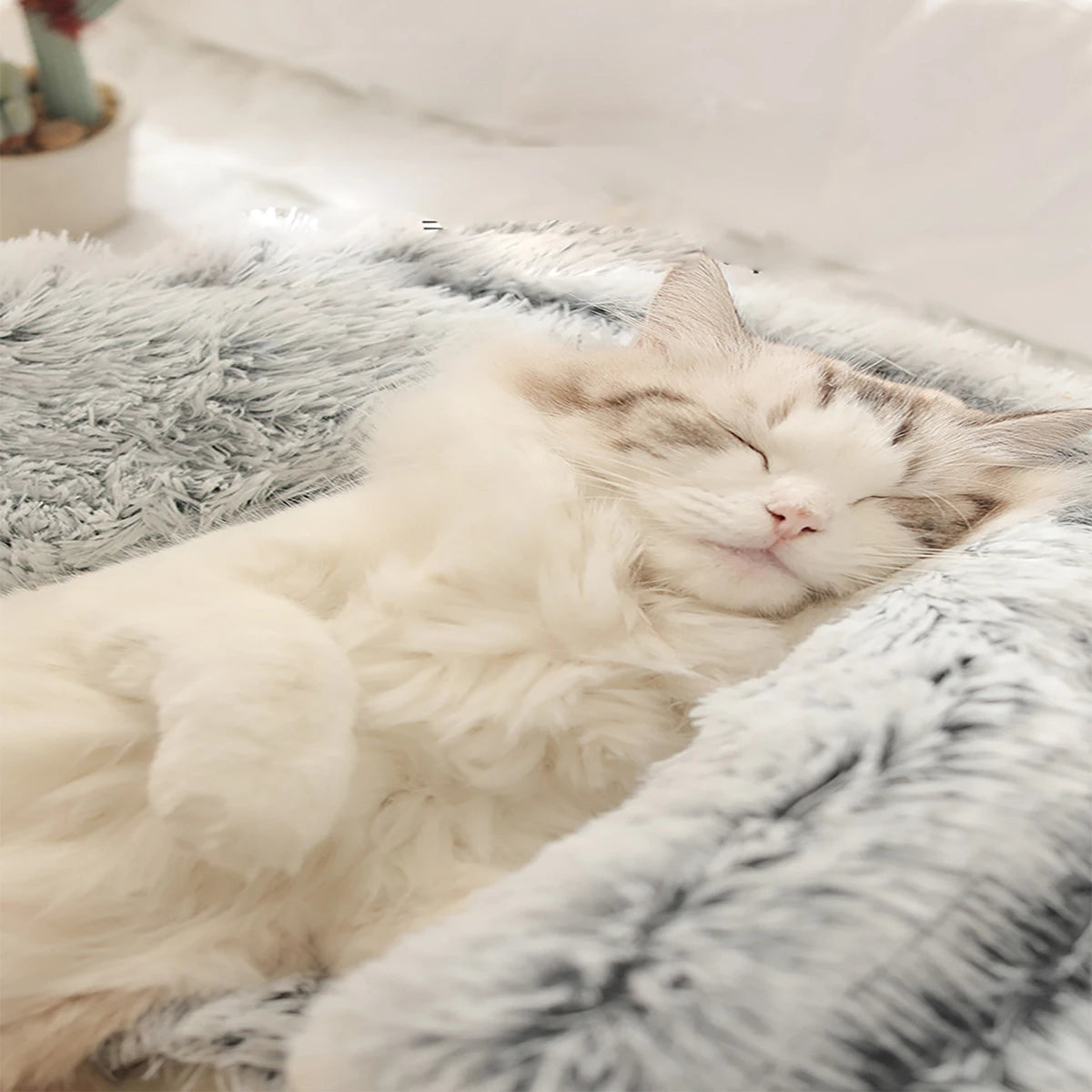2-in-1 Plush Hooded Pet Bed – Soft, Fluffy Cave for Cats & Small Dogs