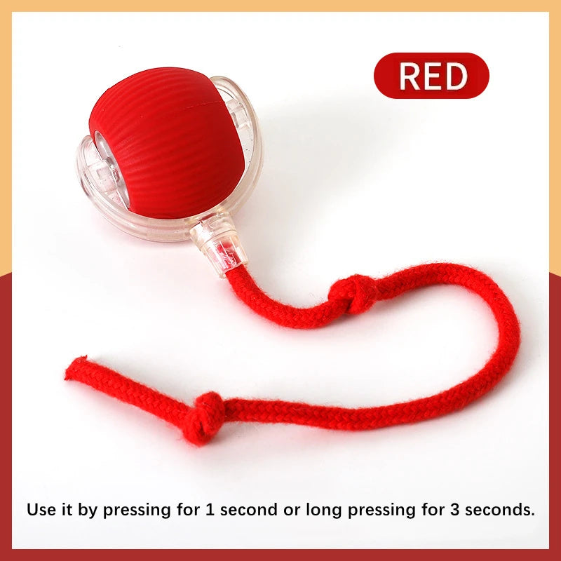 Smart Bouncing Pet Ball – USB Moving Toy for Dogs & Cats