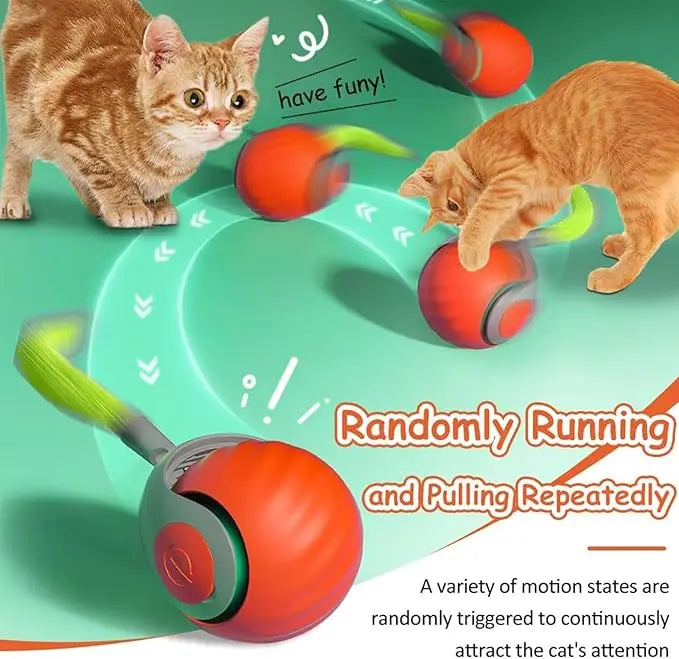 Smart Rolling Cat Toy – USB Rechargeable Interactive Ball